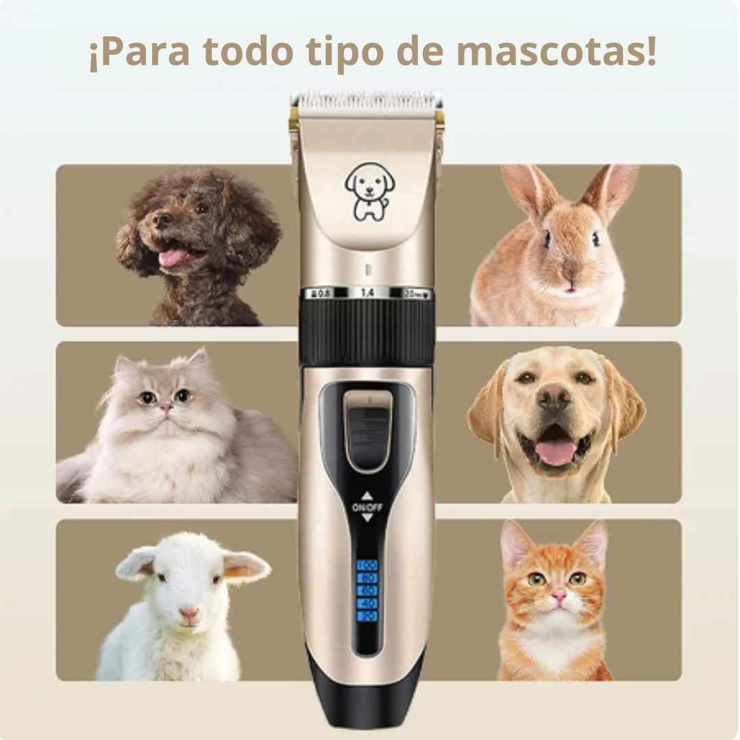 CEPILLO DE VAPOR PARA MASCOTAS 🐶🐱 +  KIT MÁQUINA DE CORTAR PELO